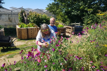 Allotment Image