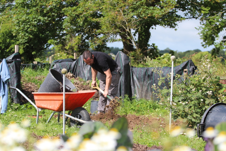 Allotment