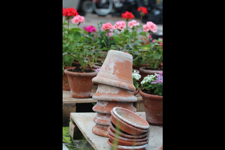 Plant Pots