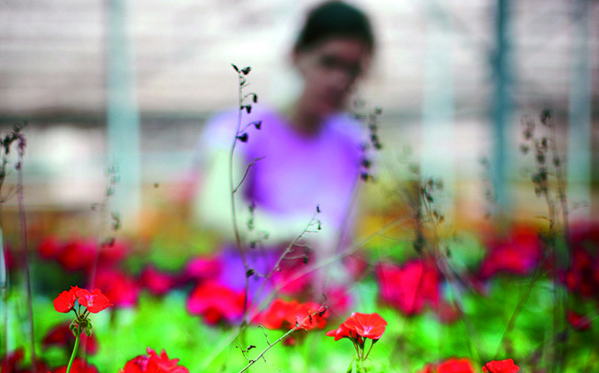 Health and Wellbeing Image