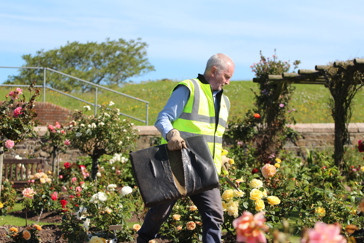 Community Volunteering Image